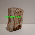 Petrified wood