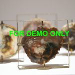 petrified wood slab with metal stand